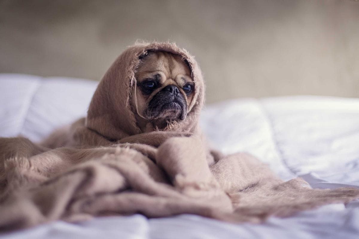 Make.com Pricing Guide: Which Plan Is Right for Your Business?